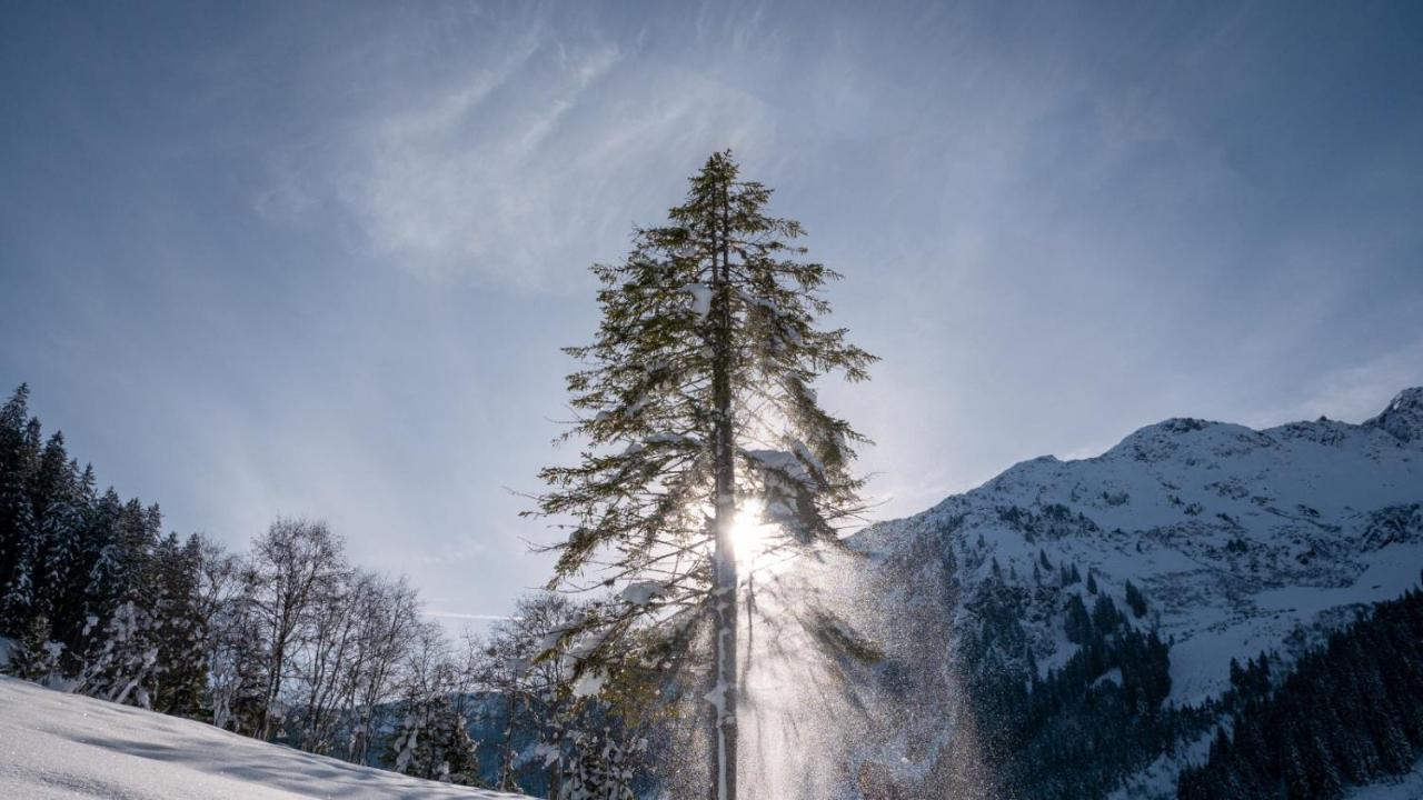 Silber Lodge Im Wiesenstein Auffach Exterior foto